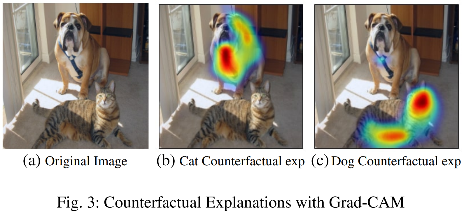 출처: Grad-CAM: Visual Explanations from Deep Networks via Gradient-based Localization