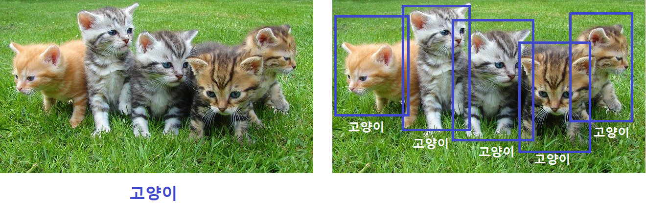 왼쪽: Image Classification, 오른쪽: Object Detection