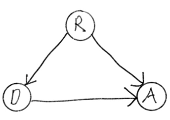 Figure 3. Causal Diagram