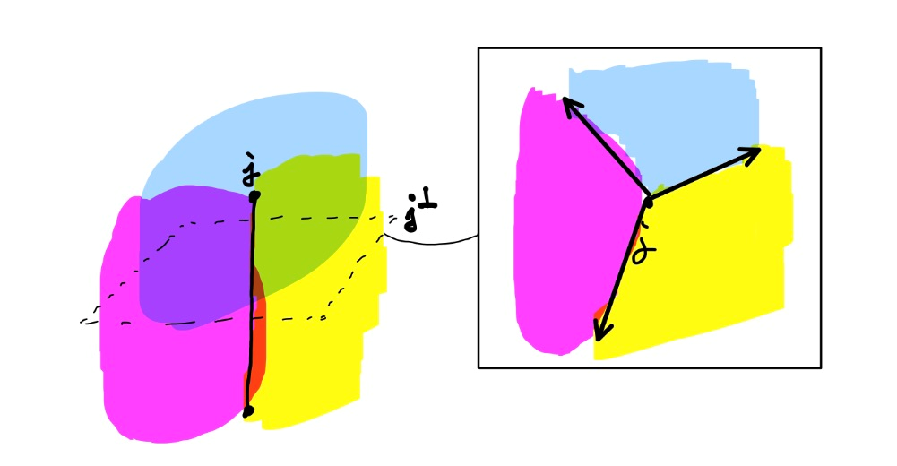 voronoi diagram